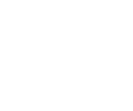 Transporte Terrestre